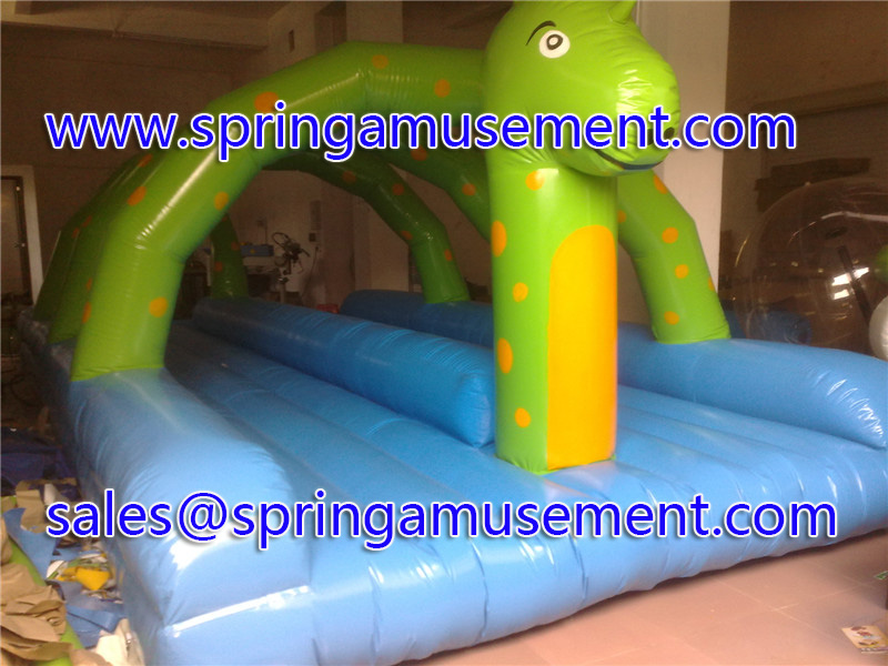 Water Game-inflatable game