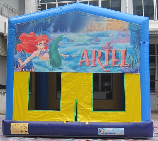 Inflatable Games-Theme Printing & Panel Castle