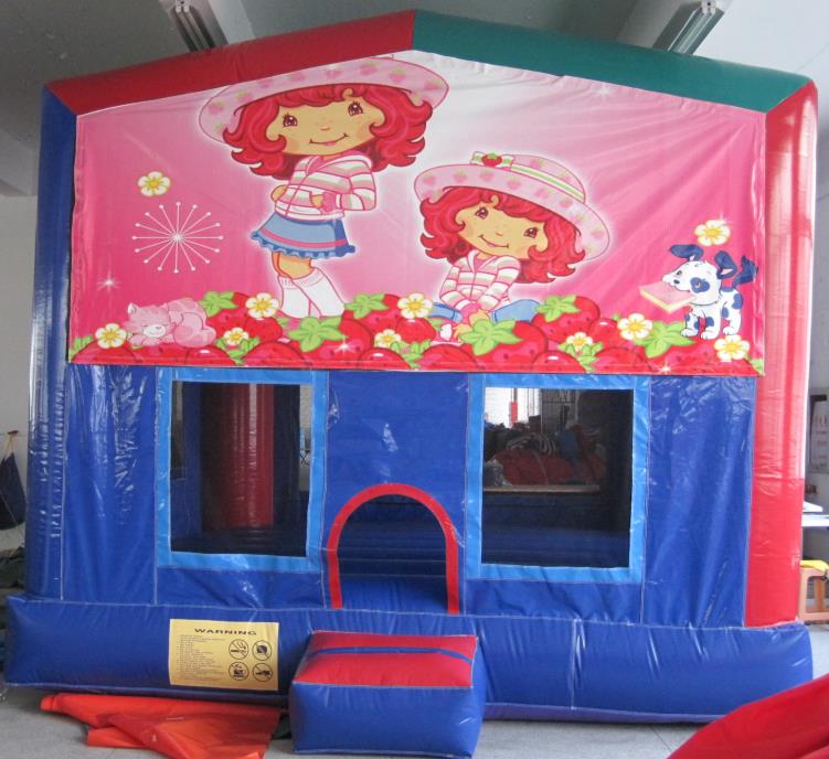 Inflatable Games-Theme Printing & Panel Castle