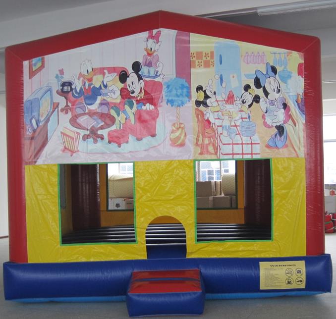 Inflatable Games-Theme Printing & Panel Castle
