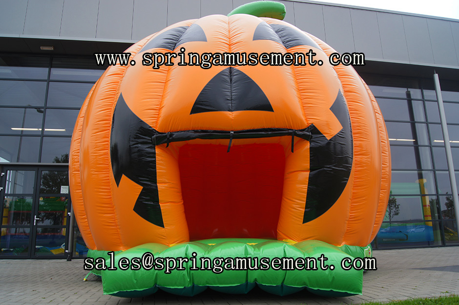 Advertising Inflatable